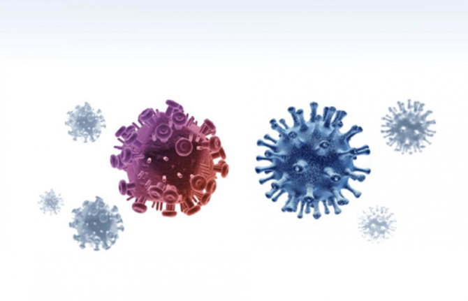 Results of the study "The prevalence of coronavirus infection COVID-19 among HIV-infected patients in Russia and the impact of the COVID-19 epidemic on the provision of HIV related medical care"