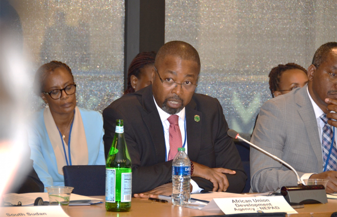 Symerre Grey Johnson, speaking on behalf of the New Partnership for Africa's Development (AU/NEPAD)